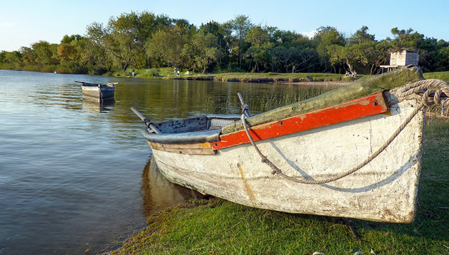 29Río